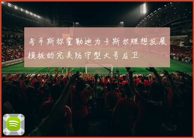 考辛斯称霍勒迪为卡斯尔理想发展模板的完美防守型大号后卫