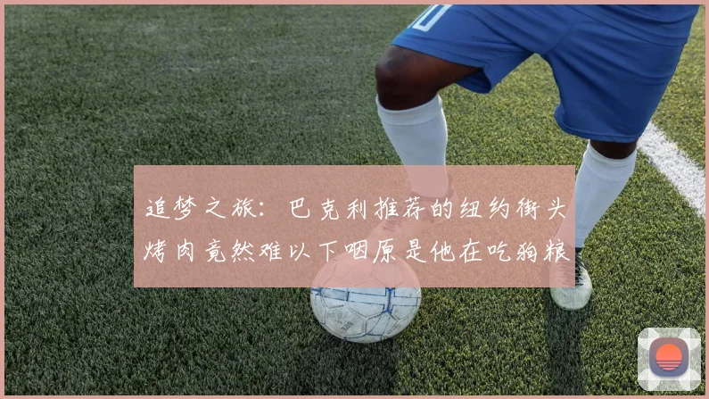 追梦之旅：巴克利推荐的纽约街头烤肉竟然难以下咽原是他在吃狗粮