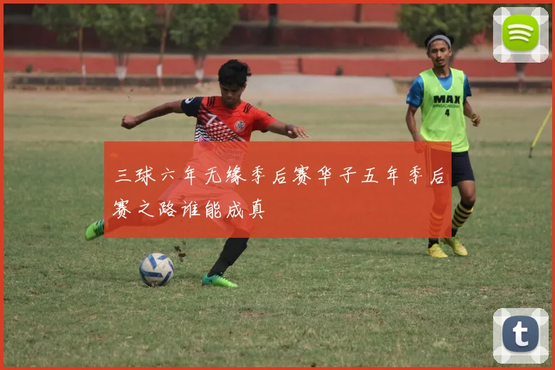 三球六年无缘季后赛华子五年季后赛之路谁能成真